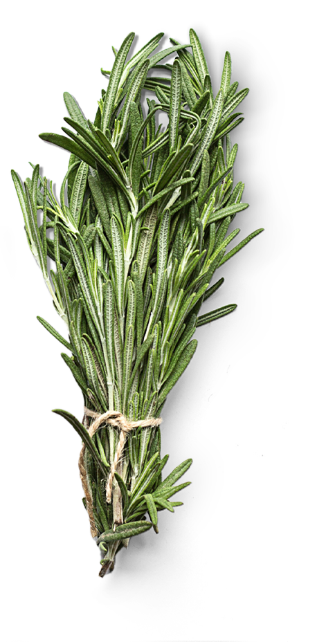 Salty Cassava and Rosemary Stick