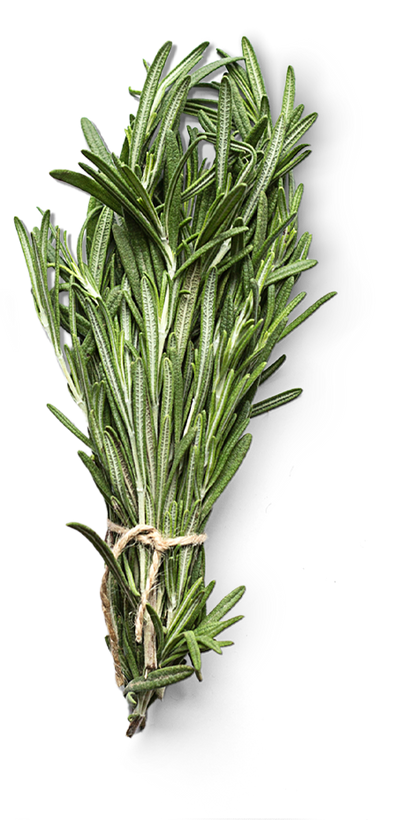 Salty Cassava and Rosemary Stick