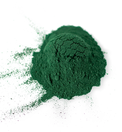 Chlorella